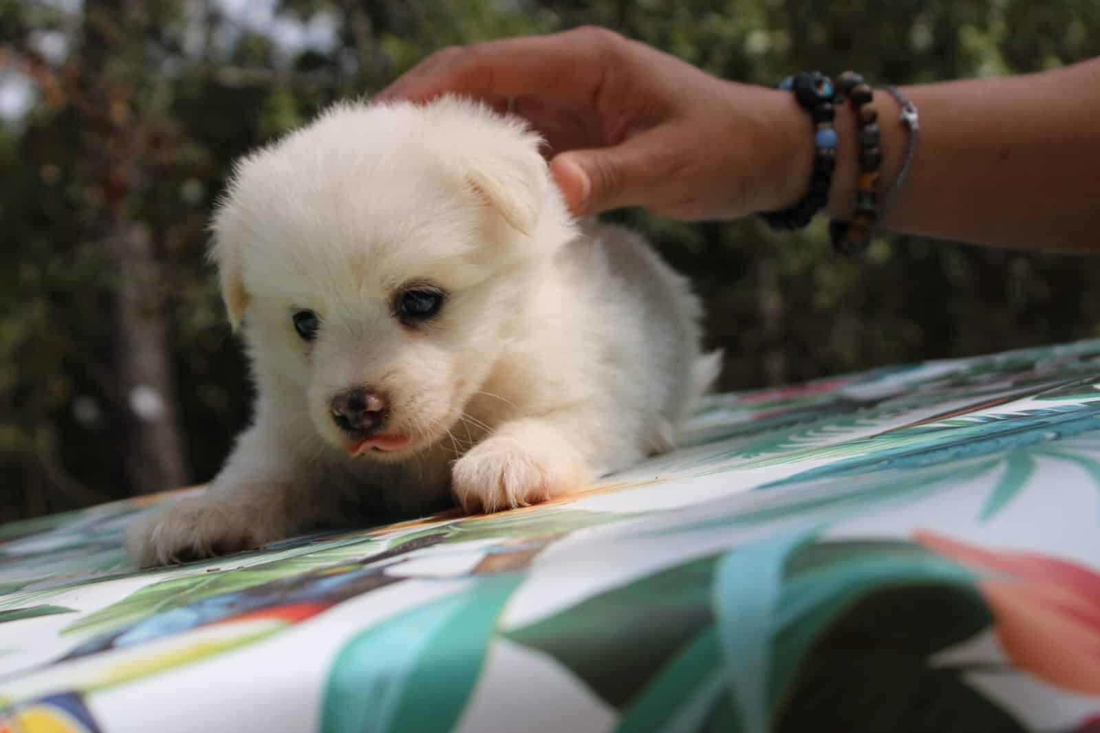IMG-20250827-WA0048