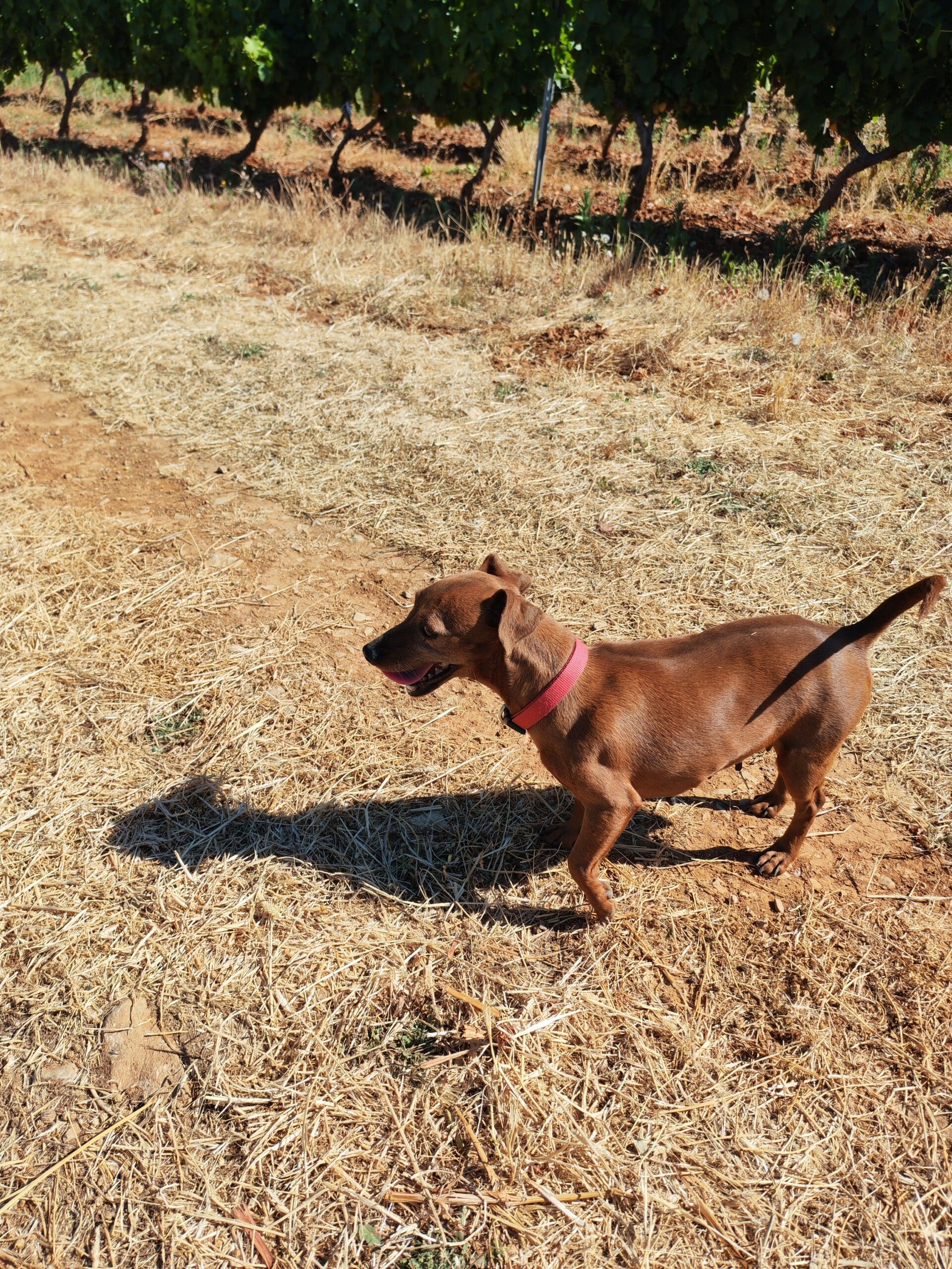 IMG_20250711_101522_1