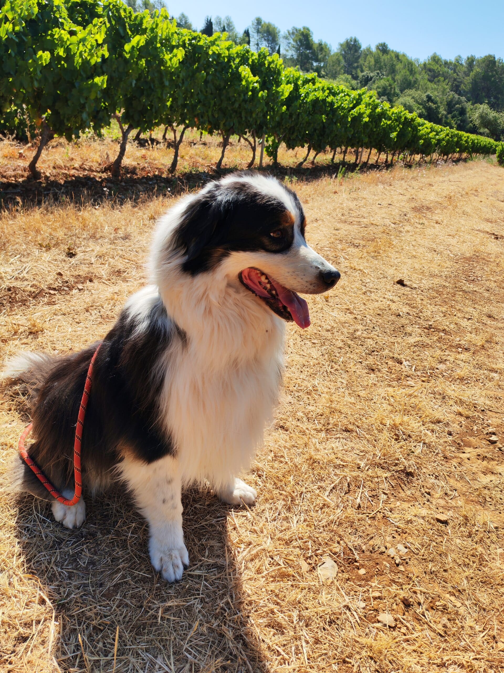 IMG_20250711_101922_3