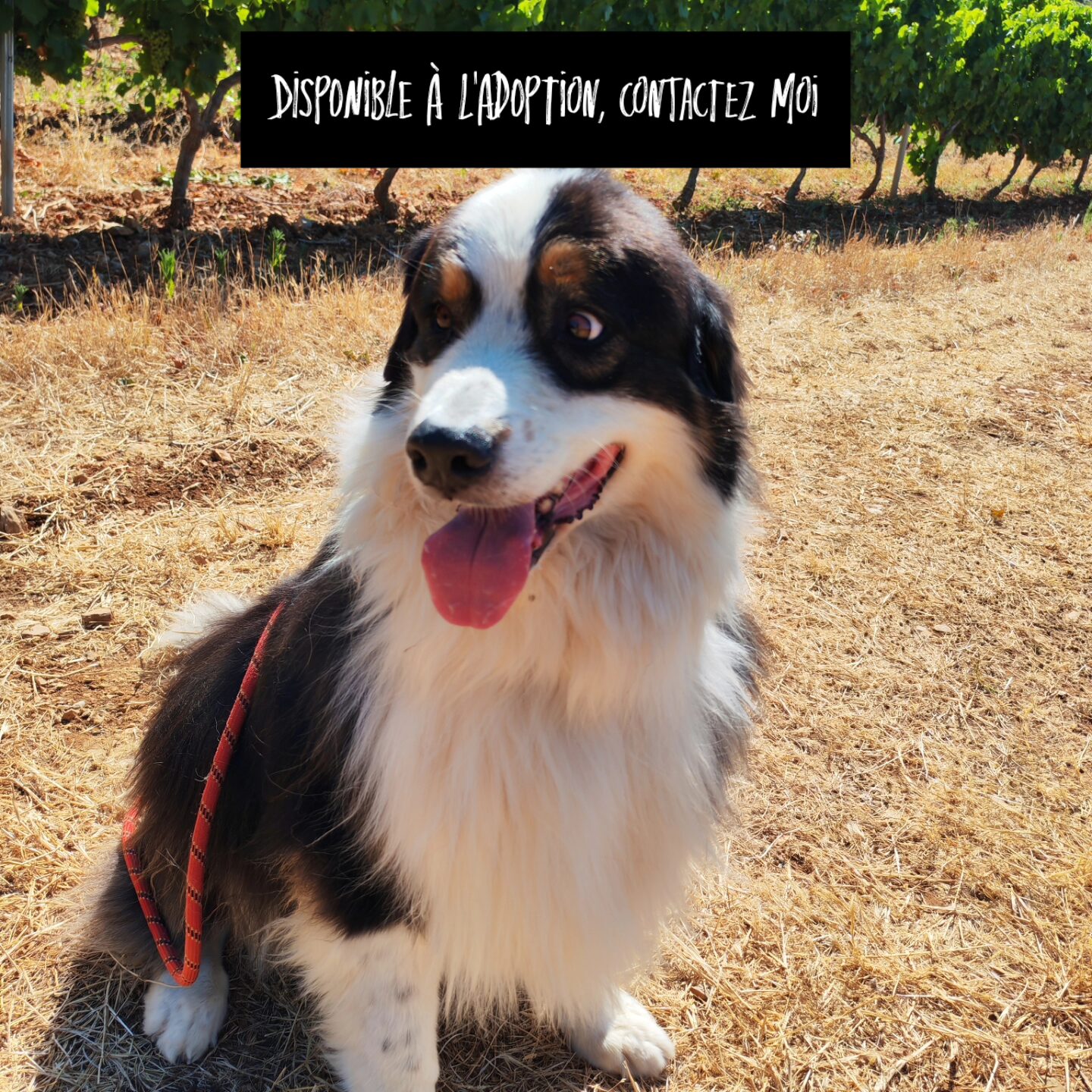 IMG_20250731_180606_350